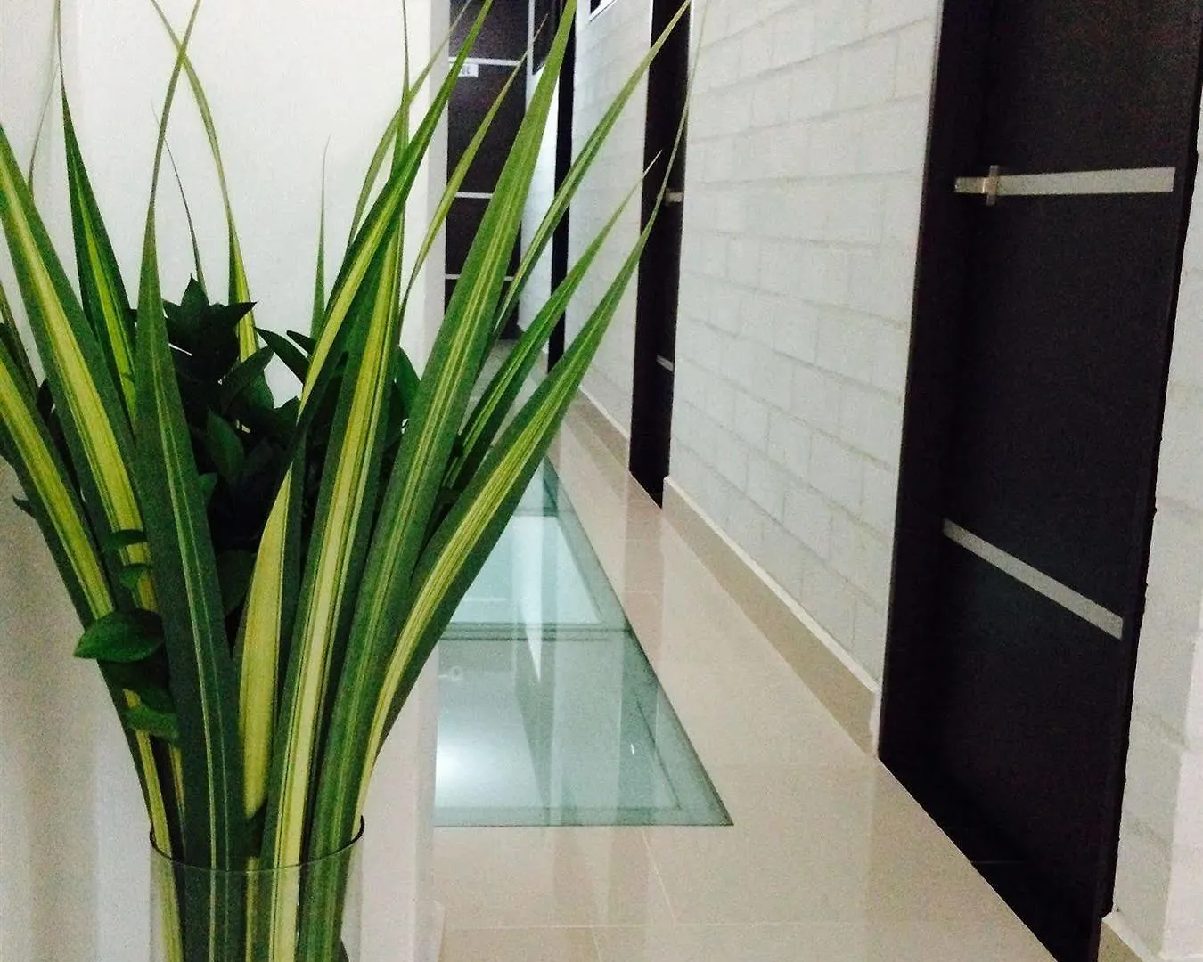 Hotel Ayenda 1254 Mi Colombia Medellín